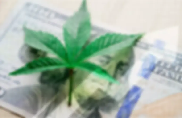 Stap-voor-Stap Handleiding: Hoe je Wietzaden Koopt met Cryptocurrency