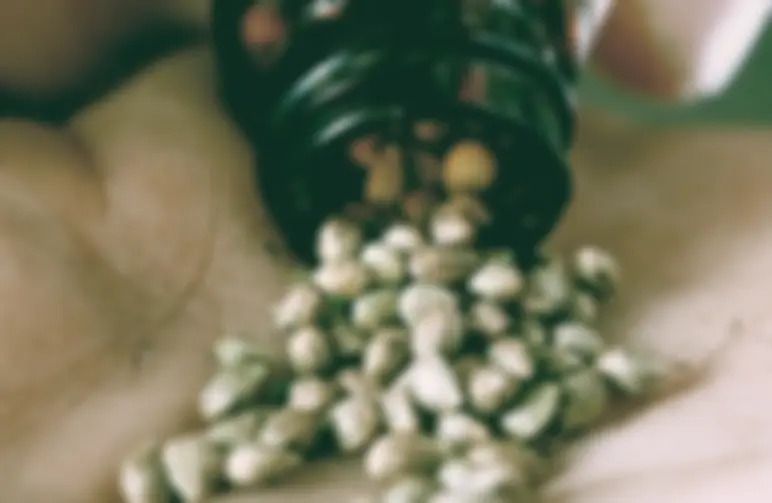 Hoeveel wietzaadjes per plant heb je nodig?