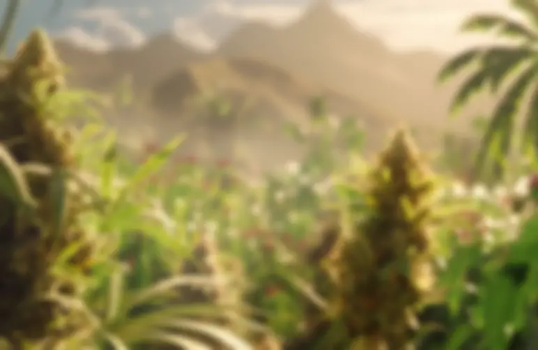 Top 7 Landrace-cannabissoorten die elke kweker zou moeten telen