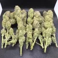 thumb of Wedding Cake by WeedSeedsExpress grown by Naujas
