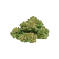 thumb of ACDC Auto Bud