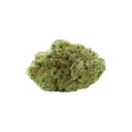 thumb of Amnesia Haze x Blueberry Auto Bud