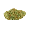 thumb of Big Bud Auto Bud