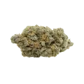 thumb of Black Jack Auto Bud
