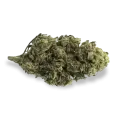 thumb of Black Widow Bud