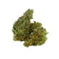 thumb of Chocolope Auto Bud