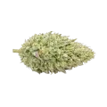 thumb of Chronic Cannabis Top