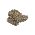 thumb of Cookies and Cream Auto Bud