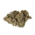 thumb of Forbidden Runtz Bud