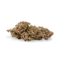 thumb of G13 bud