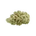 thumb of Gelato Auto Bud