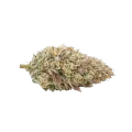 thumb of Gumbo Cannabis Top