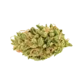 thumb of Hellfire OG Auto Bud