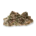 thumb of Mimosa top
