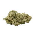 thumb of Moby Dick Bud