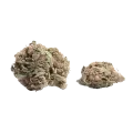 thumb of Plushberry Autoflower Bud