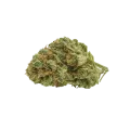 thumb of Runtz Auto Bud