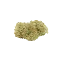 thumb of Sexxpot Auto Bud