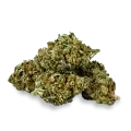 thumb of Wedding Cake bud