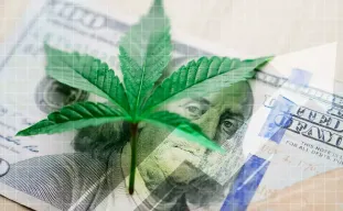 Stap-voor-Stap Handleiding: Hoe je Wietzaden Koopt met Cryptocurrency