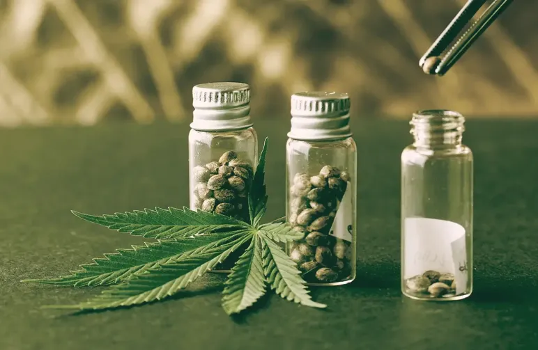 Wietzaden bewaren, zo doe je dat!