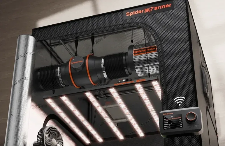 De ultieme gids voor ventilatie en geurbeheersing in de kweekruimte