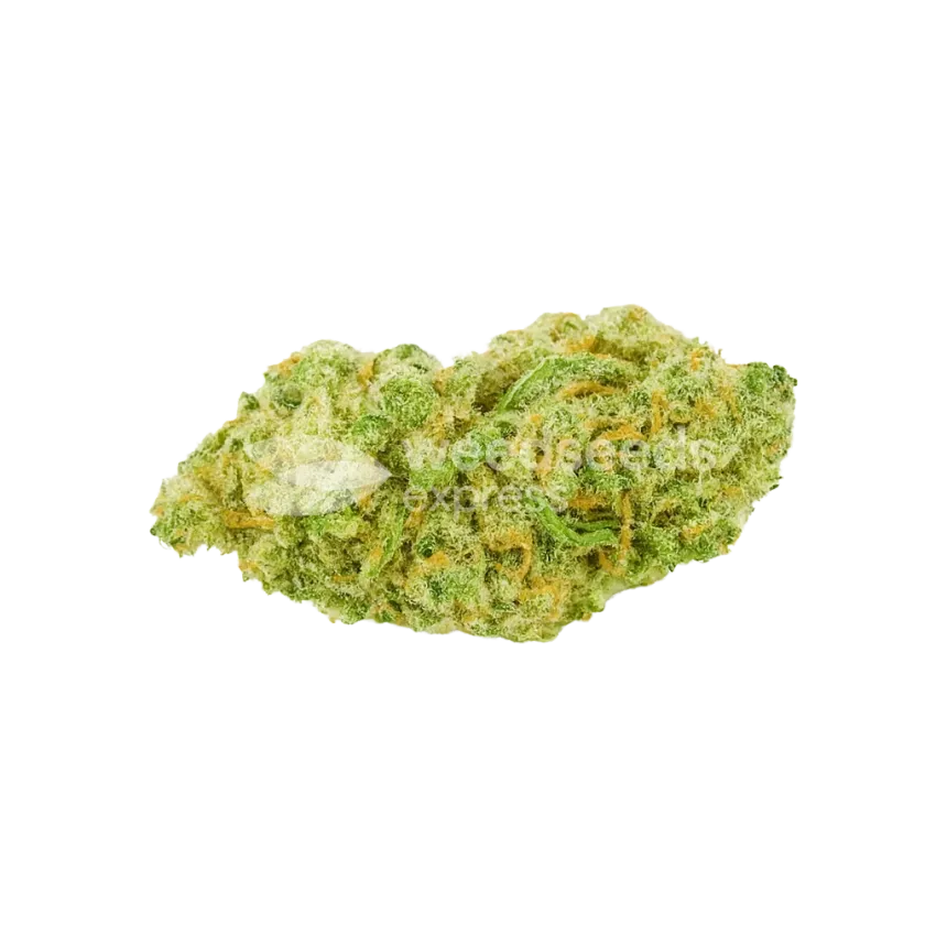Banana Kush Auto Bud
