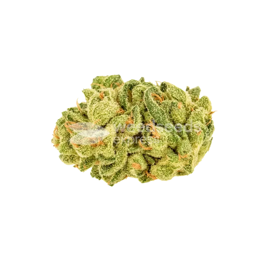 Banana Zkittlez Auto Bud