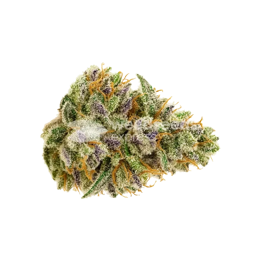 Bubblegum Sherbet Auto Bud