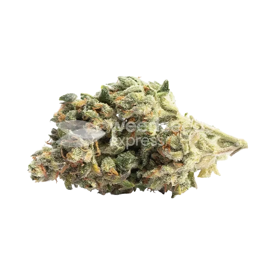 Cereal Milk Bud