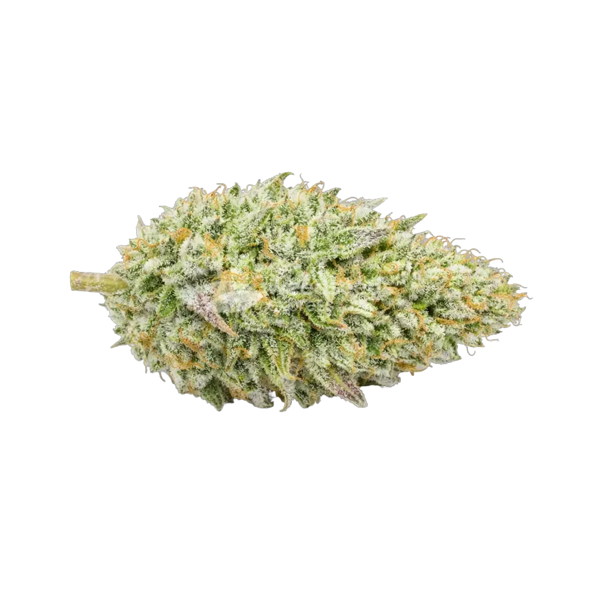 Chronic Cannabis Top