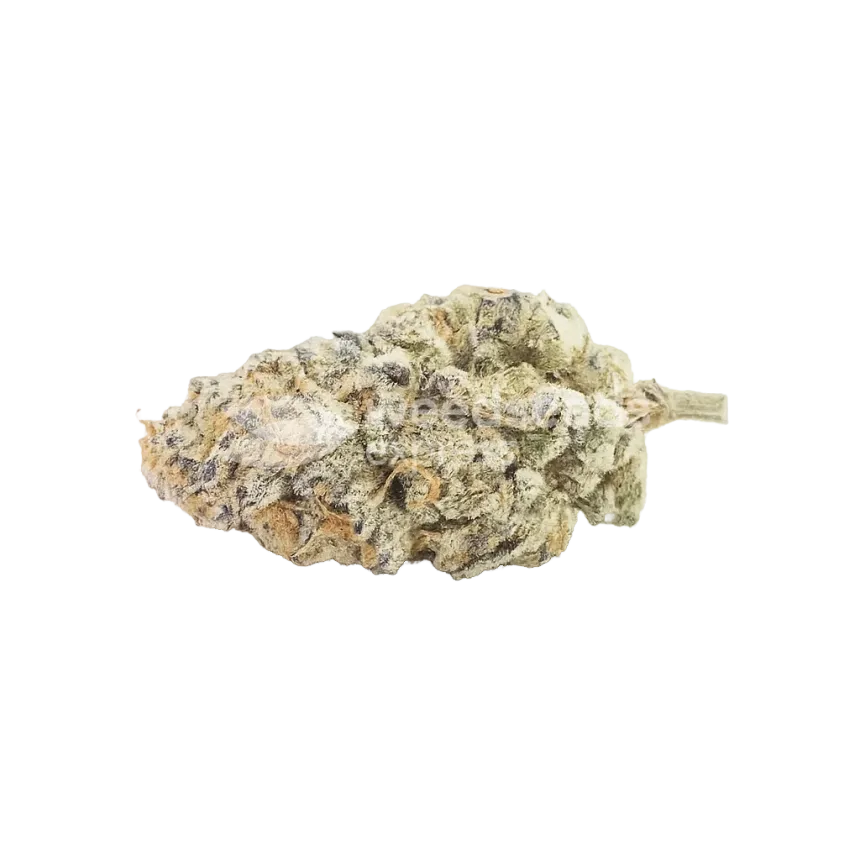 Do-si-Dos Auto Bud