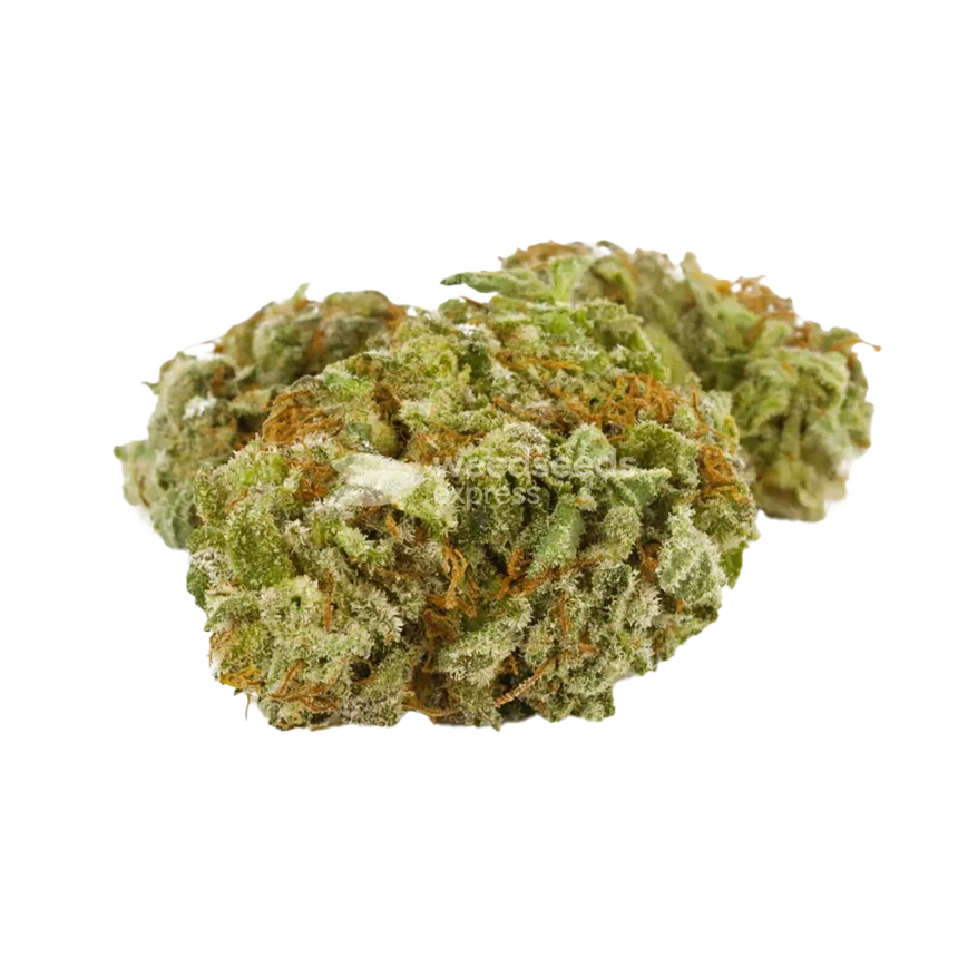 Doug's Varin Cannabis Top