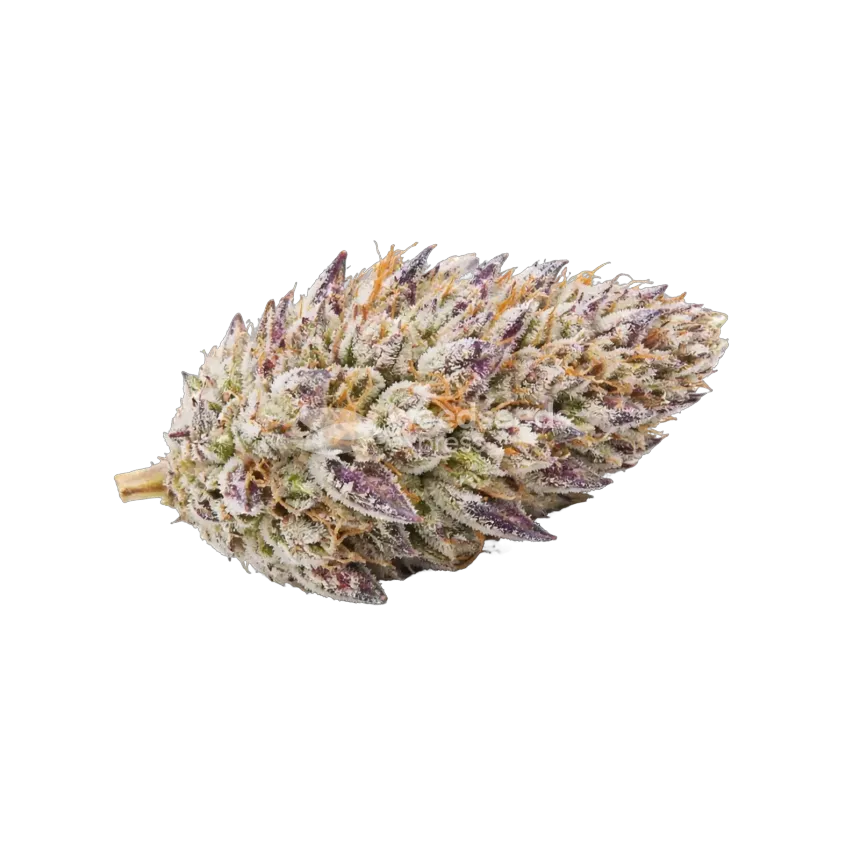 Glitter Bomb Cannabis Top