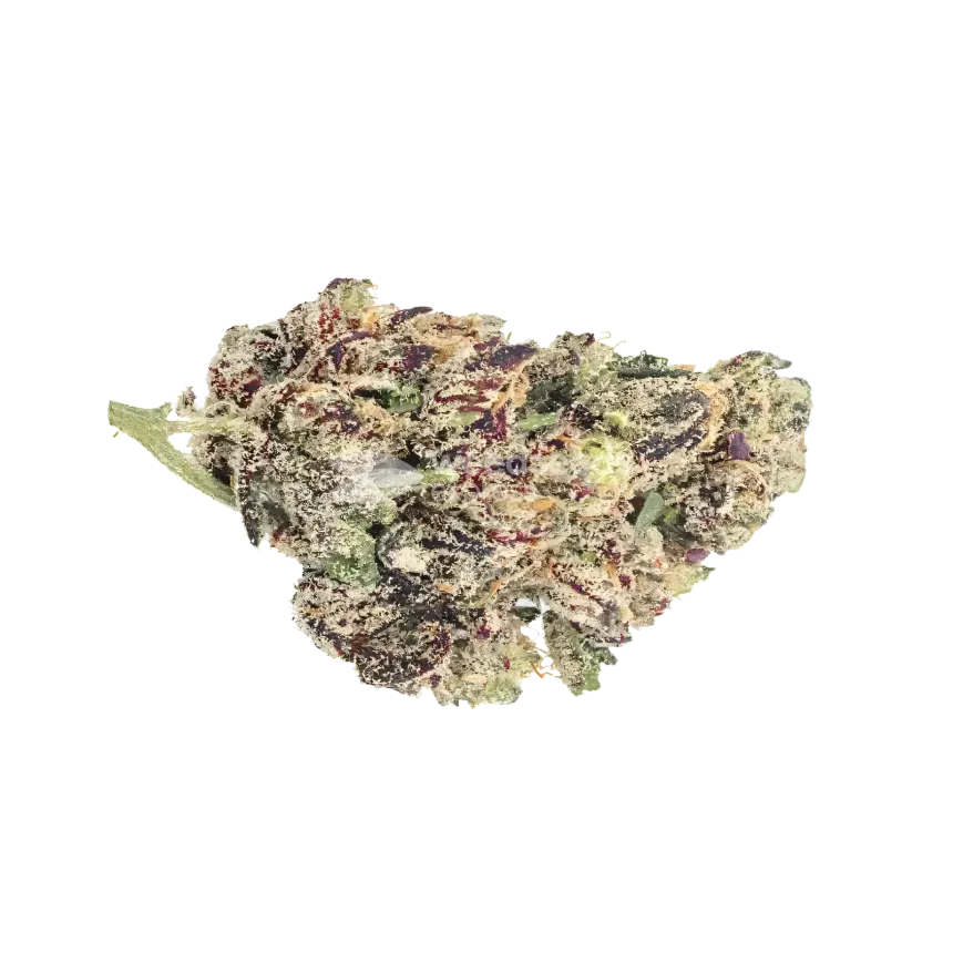 Grandmommy Purple Bud
