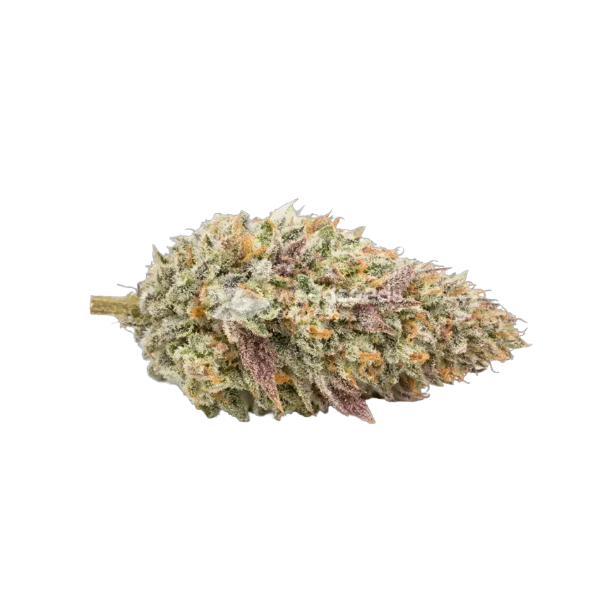Gumbo Cannabis Top