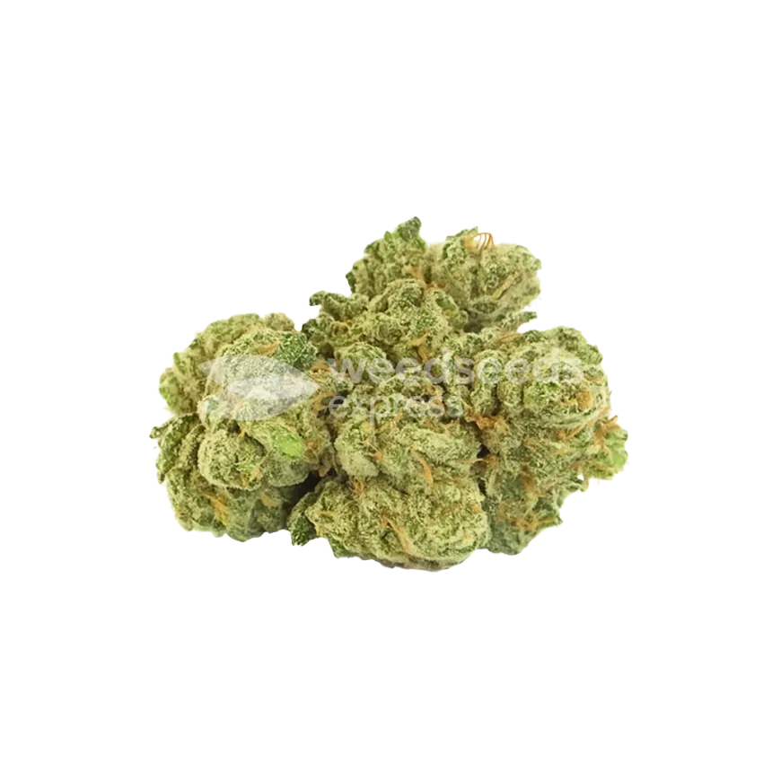Maui Waui Auto Bud