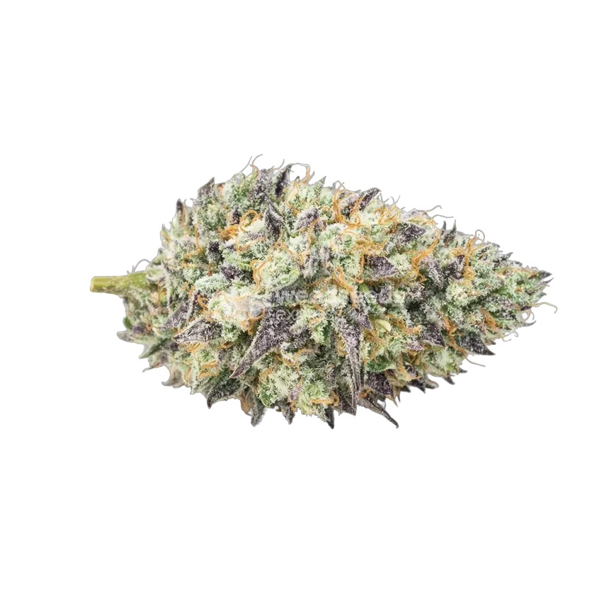 Mendo Breath Cannabis Top