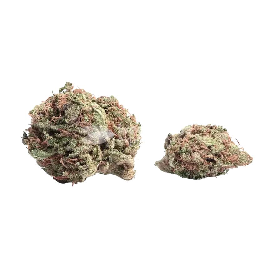 Plushberry Autoflower Bud