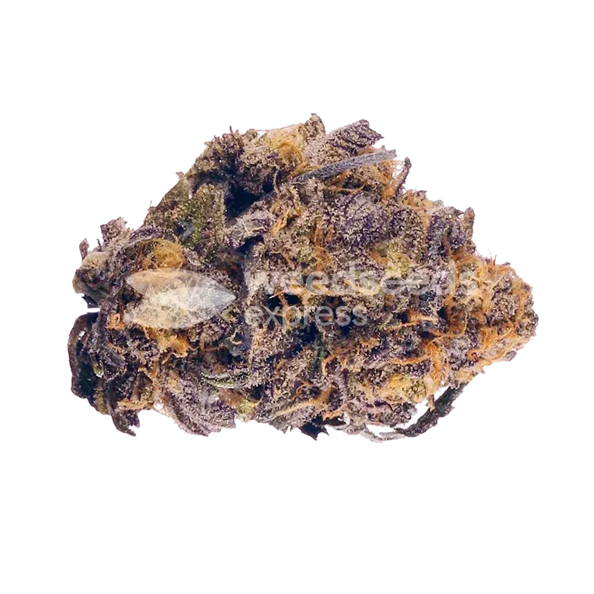 Purple Lemonade top