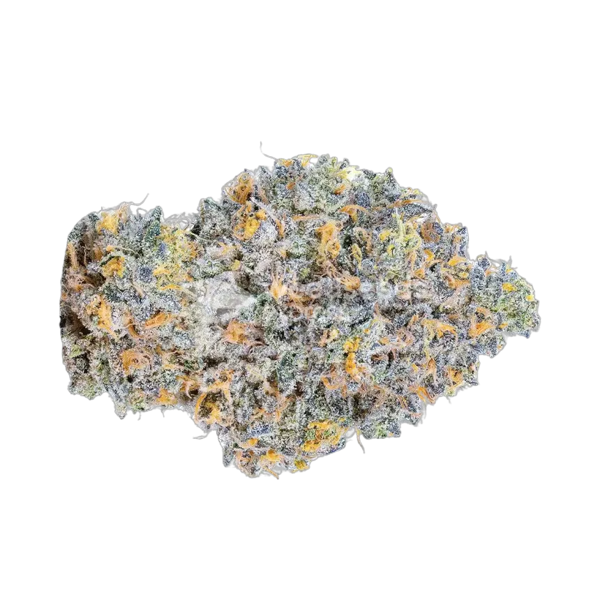 RS11 Rainbow Sherbert Bud