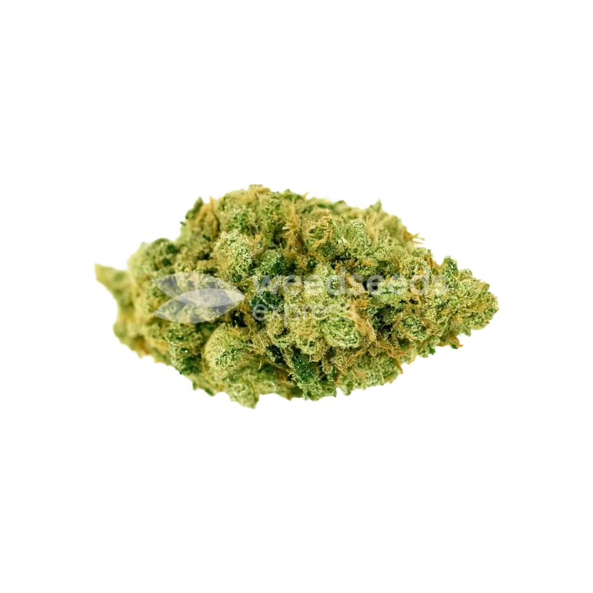 Strawberry Banana Auto Bud