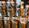 Hoe je uitgeharde buds bewaart voor langdurige versheid en potentie (zonder je terpenen om zeep te helpen)