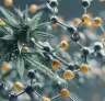 Studie: Hoe stikstofvoeding de cannabisteelt beïnvloedt