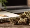 Top 8 Energizerende Sativa Strains - Perfect voor overdag en creativiteit