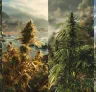 Wat zijn landrace cannabissoorten en waarom zijn ze bijzonder?