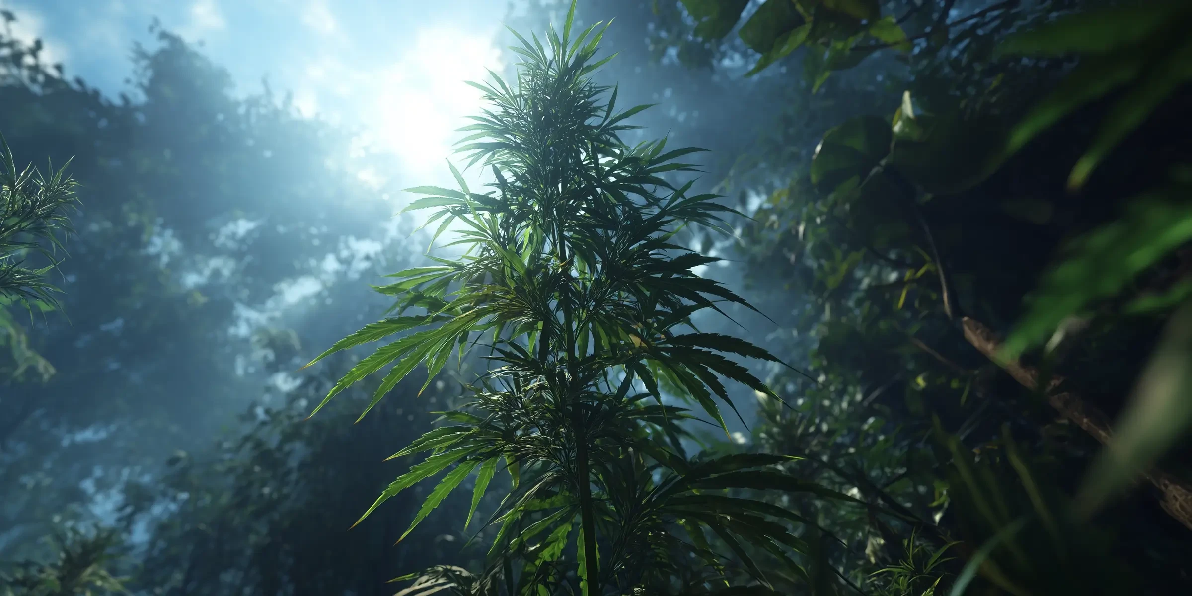 5 Belangrijke Tips voor het Succesvol Telen van Landrace Cannabis