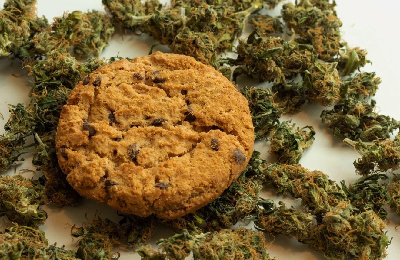 10 Best Smakende Strains Aller Tijden 😋