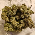 thumb of LSD Feminized by WeedSeedsExpress grown by Happy91