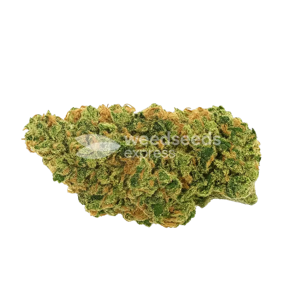 AK47 Auto Bud